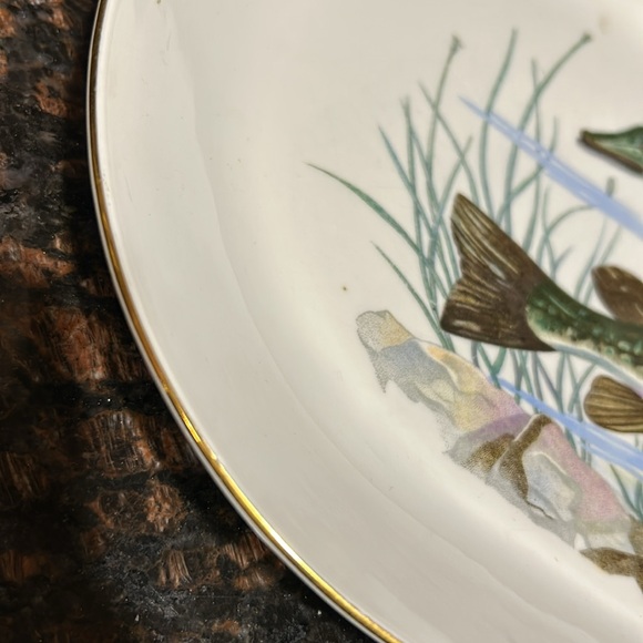 Vintage Kahla Large Oval Fish Serving Platter - Picture 2 of 9